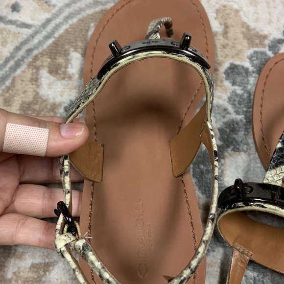 Coach Python Sandals - Picture 2 of 10
